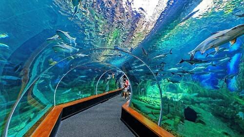 Akvárium Poema del Mar (Poema del Mar Aquarium): vstup(né), otevírací doba, tipy, zajímavosti, mapa a další Akvárium Poema del Mar v Las Palmas de Gran Canaria