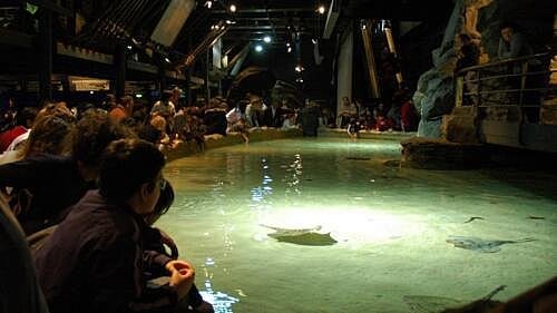 Akvárium v Janově (Acquario di Genova): vstup(né), otevírací doba, tipy, zajímavosti, mapa Akvárium v Janově (Acquario di Genova)